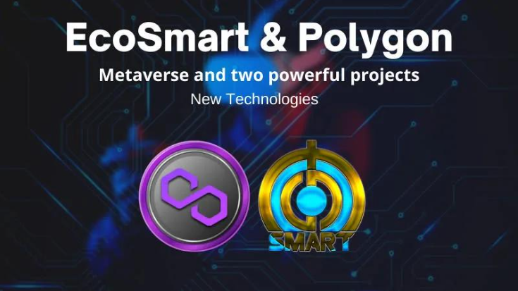 EcoSmart與Virtualand Tech聯手推出可編程3D元宇宙