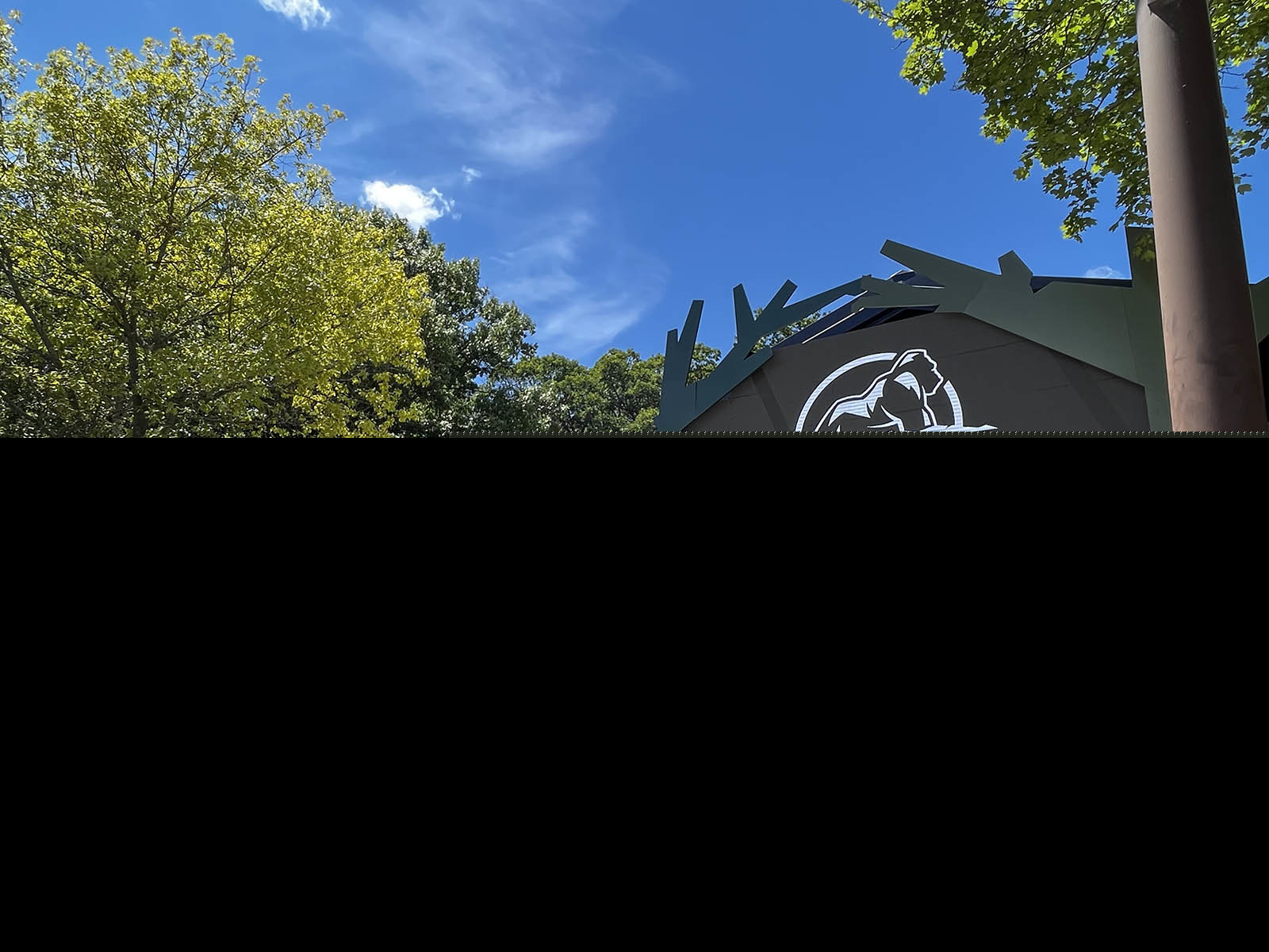 美國動物園推出VR體驗項目Gorilla Trek